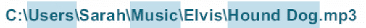   In the accompanying figure, Elvis is an example of a(n)  ____. A)  primary folder B)  subfolder C)  filename D)  path