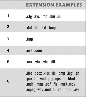  In the table above, the extensions shown in item 4 are ____ files. A) configuration B) data C) support D) program