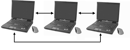   In a network like the one shown in the figure above, workstations share responsibility for processing, storage, printing, and communications tasks.