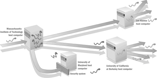   In the figure above, the worm enters the original host and other unprotected hosts using ____. A) infected files B) a backdoor C) e-mail D) a packet