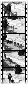   A video is a series of ____, like those in the figure above. A) pictures B) images C) clips D) frames