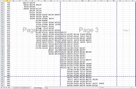   Which of the following is TRUE about the figure above? A)  The workbook is in Page Break Preview. B)  The workbook is split. C)  The workbook contains hidden columns. D)  There are frozen panes.