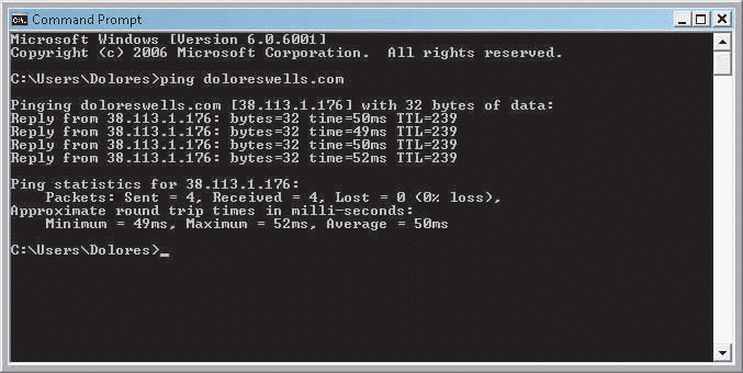 FIGURE 3-2   Figure 3-2 above shows ____. A)  a video card problem B)  a driver giving instructions to the operating system C)  the results of a ping command D)  a loss of Internet connectivity