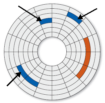 FIGURE 4-1   The blue sectors shown in Figure 4-1 above represent ____. A)  a fragmented file B)  a contiguous file C)  the processing cycle D)  adjacent clusters