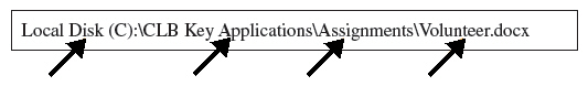 FIGURE 11-2   In Figure 11-2 above, which part of the path is the filename? A)  Local Disk (C:)  B)  CLB Key Applications C)  Assignments D)  Volunteer.docx