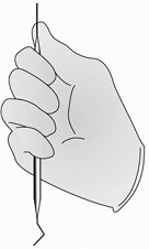   The instrument grasp shown above is the ________ grasp. A)  pen B)  modified C)  palm-thumb D)  palm
