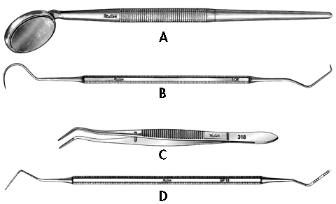 Complete the following questions by identifying the labeled instruments.     The instrument labeled B is the ______________________________.