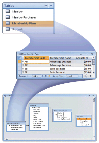   Figure 10-1 In a relational database, such as that pictured in Figure 10-1, users can set up a relationship between tables at any time, but the tables must have a common ____. A)  record B)  row C)  column D)  key