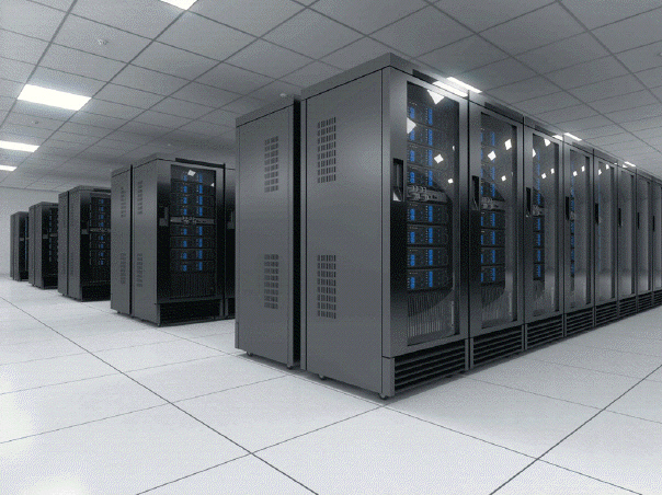   Which of the following is not a part of a server like the one in the accompanying figure? A)  processor B)  network connections C)  storage D)  bundled software