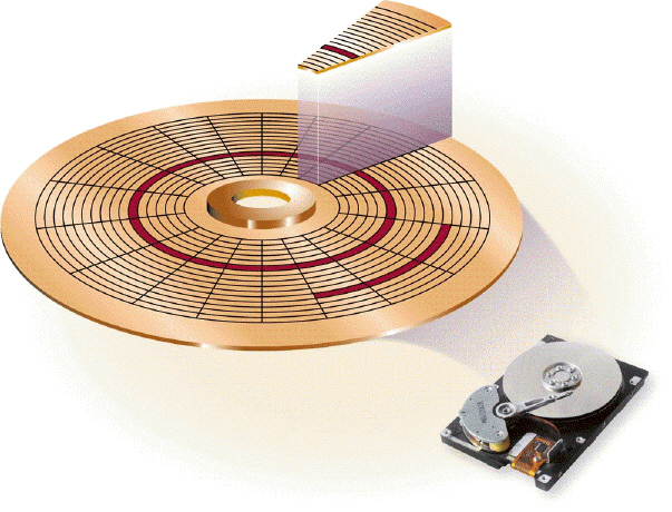   As shown in the accompanying figure, a disk's storage locations consist of wedge-shaped sections, which break the tracks into small arcs called ____________________.
