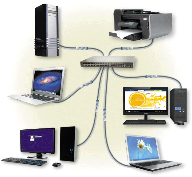   As illustrated in the accompanying figure, on what kind of network must all of the computers and devices (nodes)  on the network connect to a central device? A)  bus network B)  ring network C)  star network D)  token ring network