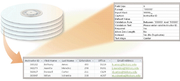   Which of the following is a collection of related records, as shown in the accompanying figure, stored on storage media such as a hard drive or optical disc? A)  validator B)  rubric C)  set D)  file