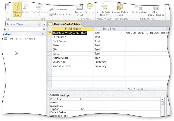   In the accompanying figure, the Business Analyst Table displays in ____. A) Structure view B) Layout view C) Design view D) Table view