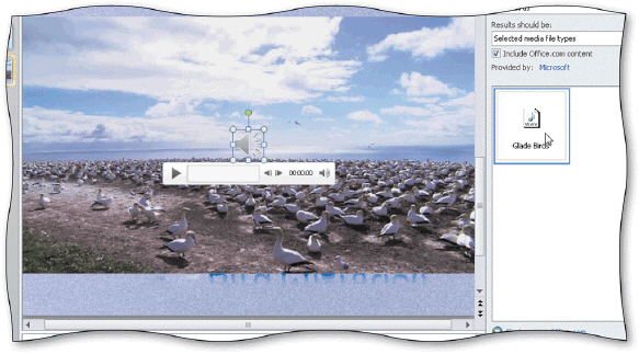   The _____ buttons for an inserted audio clip, shown in the accompanying figure, include playing and pausing the sound, moving back or forward 0.25 seconds, audio progress, elapsed time, and muting or unmuting the sound. A) Sound Control B) Audio Control C) Playback Control D) Visual Control