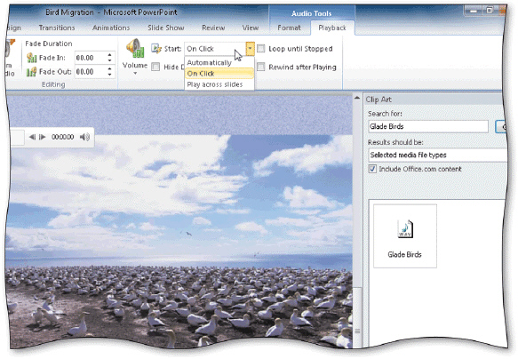   The _____ command on the Start menu, shown in the accompanying figure, allows sound to play while other slides in the presentation are displayed. A) Play across slides B) On Click C) Automatically D) none of the above