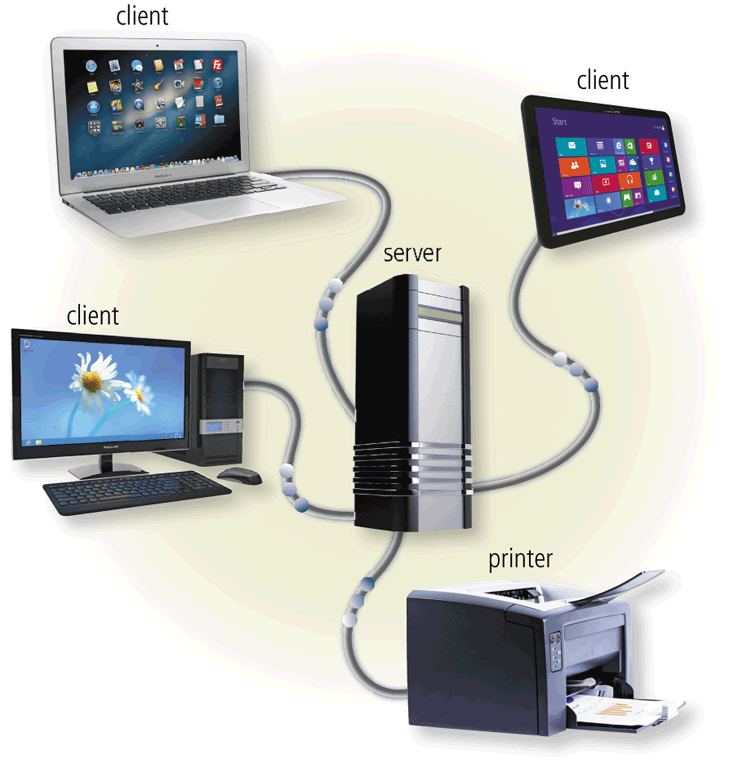   A client/server LAN, as shown in the accompanying figure, uses a network ____ to manage data storage, printer access, communications, Internet connections, security, and network administration. A)  bus B)  host C)  card D)  operating system