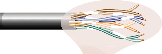 <strong> As shown in the accompanying figure, ____ cable is commonly used in LAN transmissions because it is easier to install than other types of cable and can handle the faster transmissions speeds required by modern networks.</strong> A) twisted-pair B) coaxial C) fiber-optic D) microwave