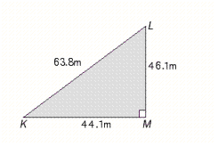 Use the triangle in the illustration. Find tan L rounded to three significant digits.   A)  0.141 B)  0.069 C)  0.691 D)  0.951 E)  0.447