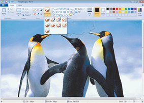   Although photos can be edited using paint software like the kind shown in the accompanying figure, photo editing software typically provides tools that simplify common editing photo editing tasks.