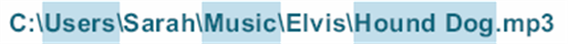   In the accompanying figure, Elvis is an example of a(n)  ____. A)  primary folder B)  subfolder C)  filename D)  path