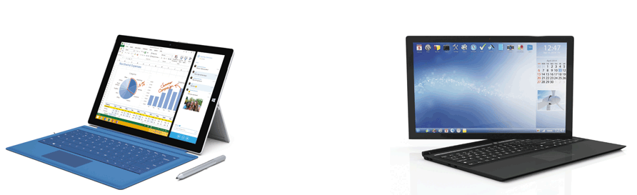   Which of the following is an alternative to the use of your finger to enter data on a tablet like the one shown in the accompanying figure? A)  tapper B)  quickpen C)  stylus D)  phablet