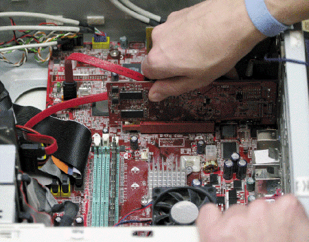   Which of the following means the computer automatically can configure cards like the one in the accompanying figure and other peripherals as users install them? A)  concatenation B)  GIGO C)  daisy chaining D)  Plug and Play