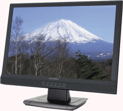   A(n) ____________________ monitor like the one in the accompanying figure uses a liquid compound to present information on a display device.