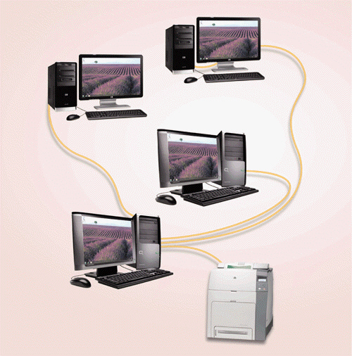   On what kind of network, such as that illustrated in the accompanying figure, do one or more computers act as a server and the other computers on the network request services from the server? A)  dedicated B)  client/server C)  integrated D)  indexed