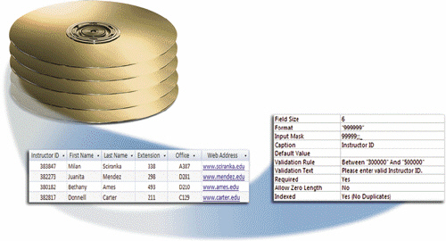   Which of the following is a collection of related records, as shown in the accompanying figure, stored on storage media such as a hard disk or optical disc? A)  validator B)  rubric C)  set D)  file