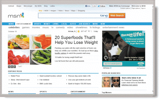   Most websites of the kind shown in the accompanying figure require payment for services.