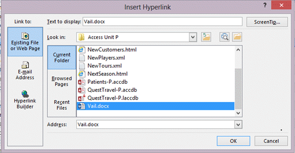   The Edit Hyperlink dialog box in the figure indicates that the user is in the process of creating a link to a(n)  _____. A)  Word document B)  Web page C)  E-mail address D)  report object