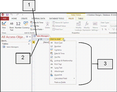   In the accompanying figure, item 1 is the name of the only ____ in the database. A)  table B)  report C)  form D)  query