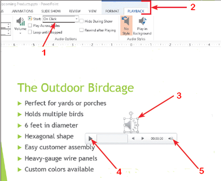   In the accompanying figure, item 1 indicates that ____. A)  sound will stop when the mouse is clicked in a slide show B)  a slide show will stop when the mouse is clicked C)  sound will start when the mouse is clicked in a slide show D)  a slide show will start when the mouse is clicked