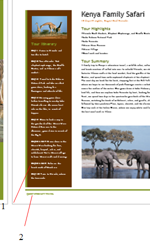    The footer in the accompanying figure is an example of a(n) ____________________.