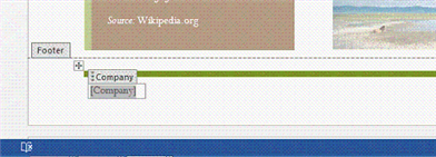    The  Company  item in the footer in the accompanying figure is a(n) ____________________ control.
