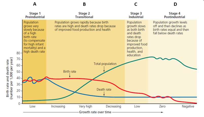 Match the items listed below with the appropriate choice.      Figure 6.10