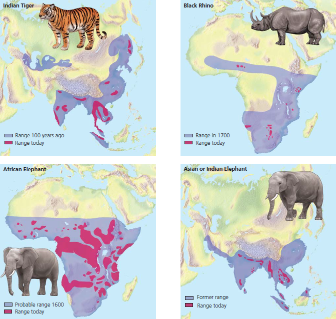   Figure 8.6 for questions 93 and 94.  Refer to the accompanying figure. Consider the differences between the historical and current ranges of these animals. What predictions can you make about how these areas may differ?