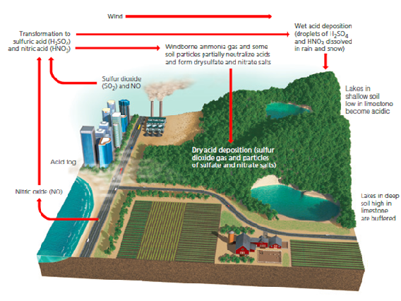    Figure 15.6  Based on the accompanying image, which chemicals are primarily responsible for lowering the pH of rain?