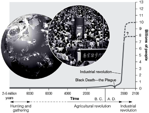   In the accompanying figure, note that following the Black Death, the line representing the total human population rose dramatically. This rise indicates a fundamental relationship between births, deaths, and growth rates. Discuss this relationship, indicating why the steep rise occurred, and why an expected leveling off may occur soon.