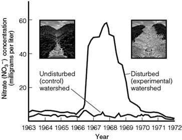   With reference to the accompanying figure, explain the significant difference that occurred between 1966 and 1970 in terms of the two lines representing the control watershed and the experimental watershed.