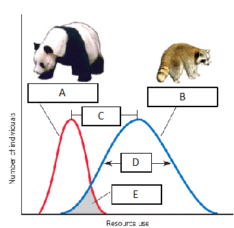   Use the figure above to answer the following question(s). What does the height of each of the curves on the graph represent?