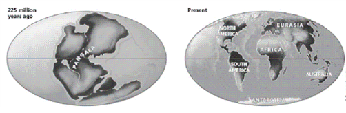   Consider the accompanying figure and then explain how the movement of the continents can help explain why some species have the geographic distribution that is observed today.
