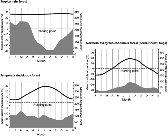   Use the figure above to answer the following question(s). When is the dry season in the tropical rain forest?