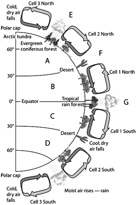   Global Air Circulation Use the figure above to answer the following question(s). Choose the letter(s)that represent(s)moist air rising, cooling, and forming precipitation.