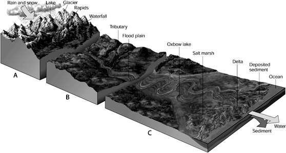   Downhill Flow of Water Use the figure above to answer the following question(s). Choose the zone containing mountain headwater streams.