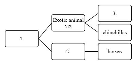 Match the following terms with the appropriate boxes of the Line Diagram ​.      A. iguanas  B. Veterinary specialties  C. Large animal vet