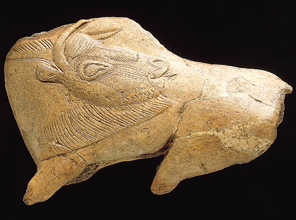 ​   How was this object made? A)  A sharp burin was used to carve terracotta B)  A sharp burin was used to carve antler C)  A chisel shaped a rhinoceros horn D)  A chisel shaped a stone