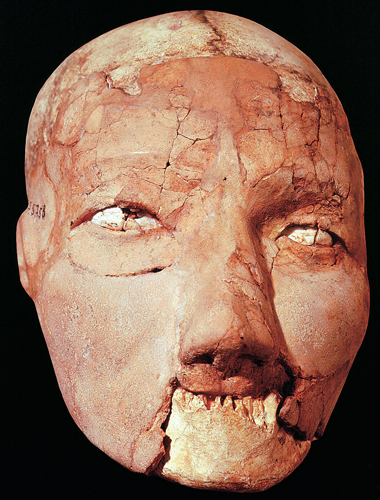 ​   Which would be the most accurate label for this object? A)  Paleolithic human skull overlaid with clay, from Namibia B)  Neolithic human skull overlaid with plaster, from Jericho C)  Neolithic wooden model with plaster, from Jericho D)  Paleolithic ancestor statue of wood and clay, from Lascaux