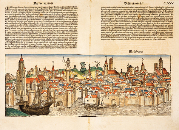 ​   What method was used to create this image? A)  Etching B)  Engraving C)  Watercolor D)  Woodcut