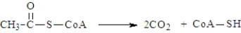 The following is the net reaction for which catabolic pathway?   A)  glycolysis B)  electron transport C)  oxidative decarboxylation D)  oxidative phosphorylation E)  citric acid cycle